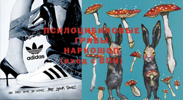 МДПВ Аркадак