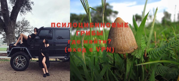 мет Арсеньев