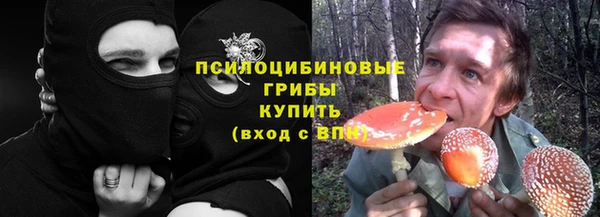 МДПВ Снежинск