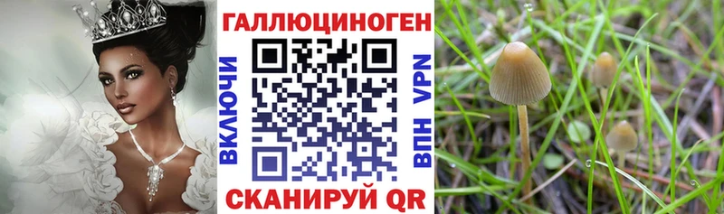Галлюциногенные грибы GOLDEN TEACHER  Купить где  Бронницы 